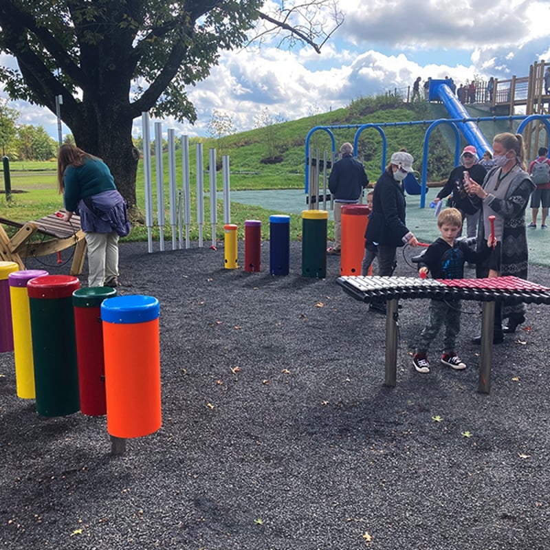 Lions Pride Park Brings Community Alive preview 8